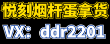 ddr2201